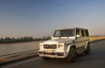 Mercedes-AMG G63 463 Edition 2015 года
